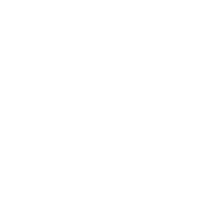 Spotify Icon